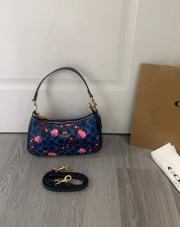 Picture of Coach Handbags _SKUfw231415017fw